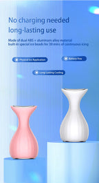 Handheld Facial Cold Compress Ice Massager for Skin Tightening