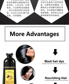 Natural Ginger Herbal Hair Dye Shampoo 500ml for Gray Hair Coverage
