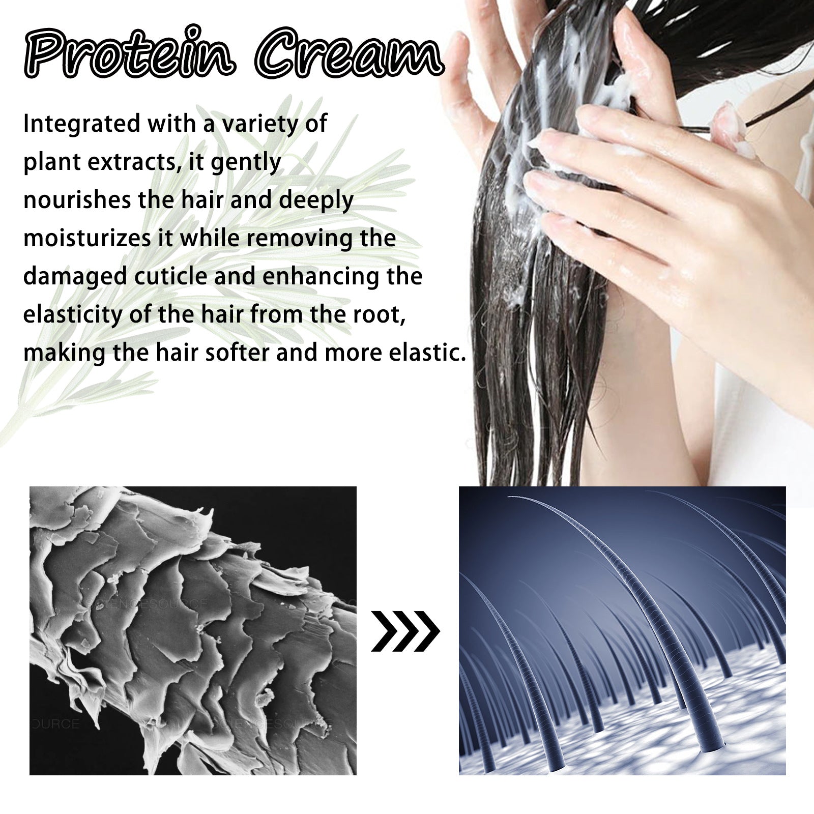Rosemary Leave-In Protein Hair Repair Treatment Cream 100ml - 11