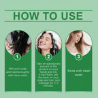 Rosemary Amino Acid Hair Shampoo 100ml Oil Control and Scalp Cleansing
