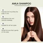 Amla Shampoo for Hair Strengthening and Scalp Cleansing 100ml