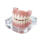 Instant Cosmetic Smile Veneers for Natural Looking Teeth