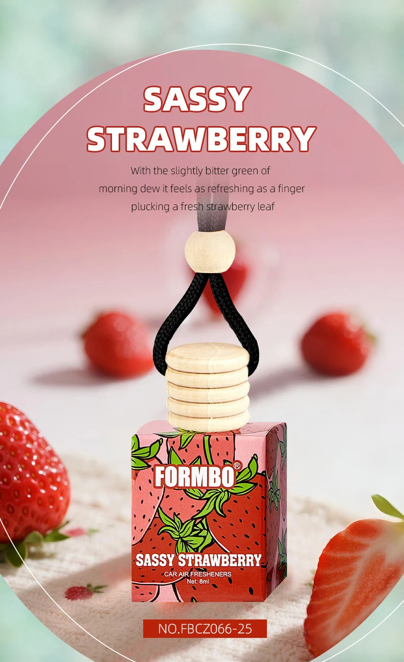 Formbo Car Air Freshener Hanging Fragrance Diffuser for Home and Auto - 14