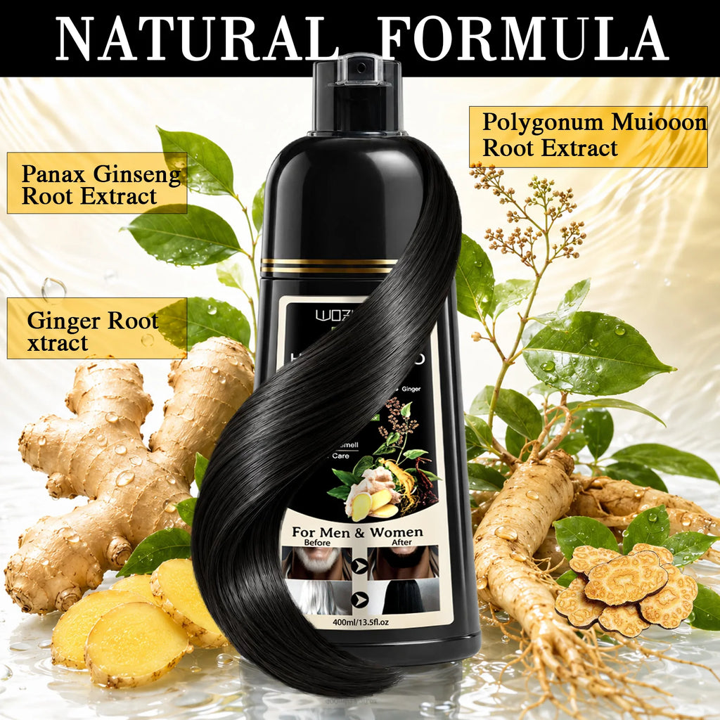 3-in-1 Black Hair Dye Shampoo and Rose Peppermint Moisturizing Spray