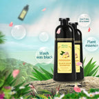 Natural Ginger Herbal Hair Dye Shampoo 500ml for Gray Hair Coverage