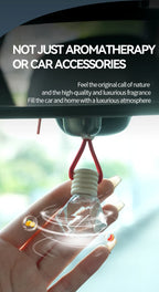 4 Pack Car Air Freshener Hanging Perfume Diffuser Odor Eliminator