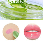 6pcs Aloe Vera Lipstick Color Changing Moisturizing Lip Balm Set