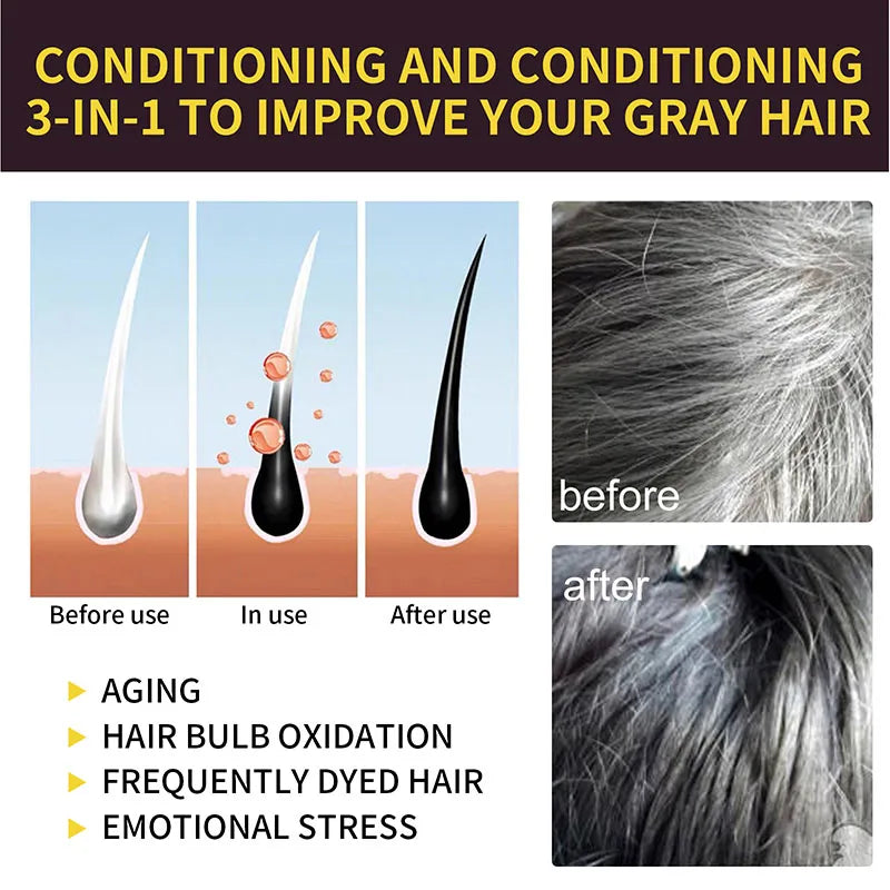 3 in 1 Black Hair Dye Shampoo for Gray Hair Coverage - 12