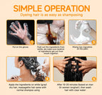 Organic Ginger Hair Blackening Shampoo 500ml Permanent Color Dye