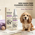 Waterless Dog Shampoo Spray for Quick Cleaning and Odor Removal