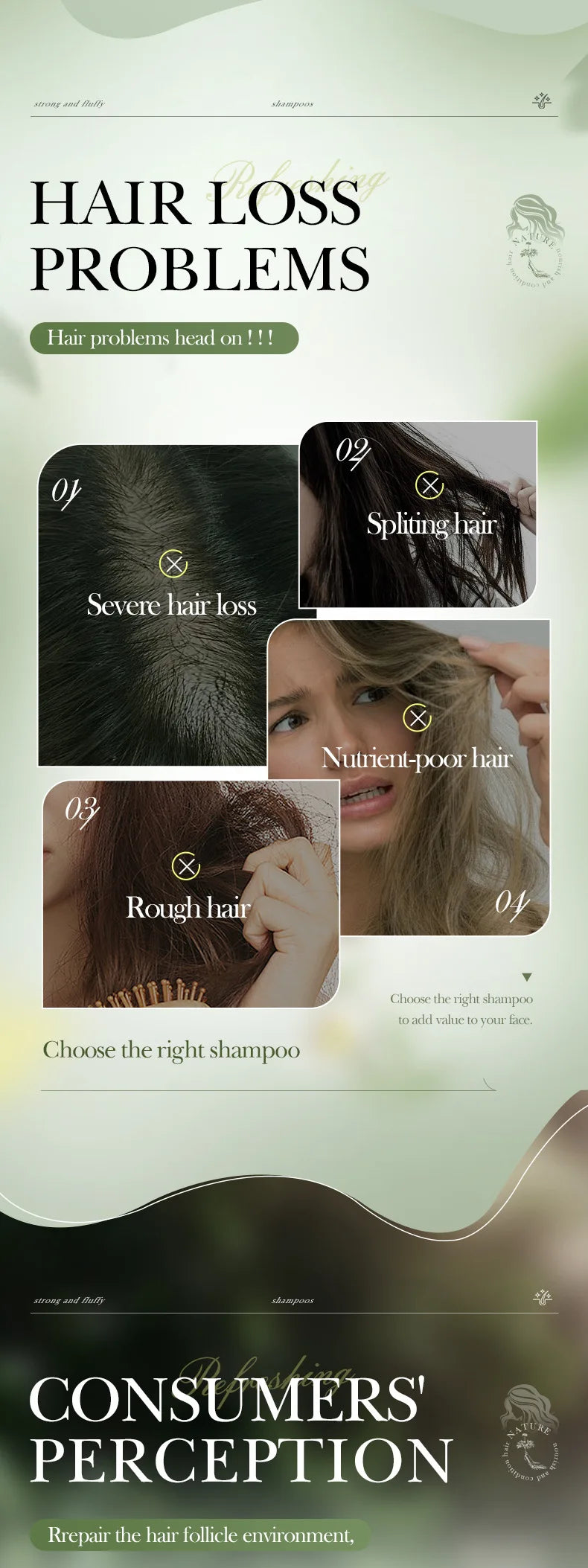 Sadoer Ginseng Anti Hair Loss Shampoo Nourishing Scalp Treatment 500ml - 7