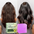 Plant Shampoo Soap Bar with Collagen and Olive Fruit Oil