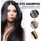 3 in 1 Black Hair Dye Shampoo for Gray Hair Coverage
