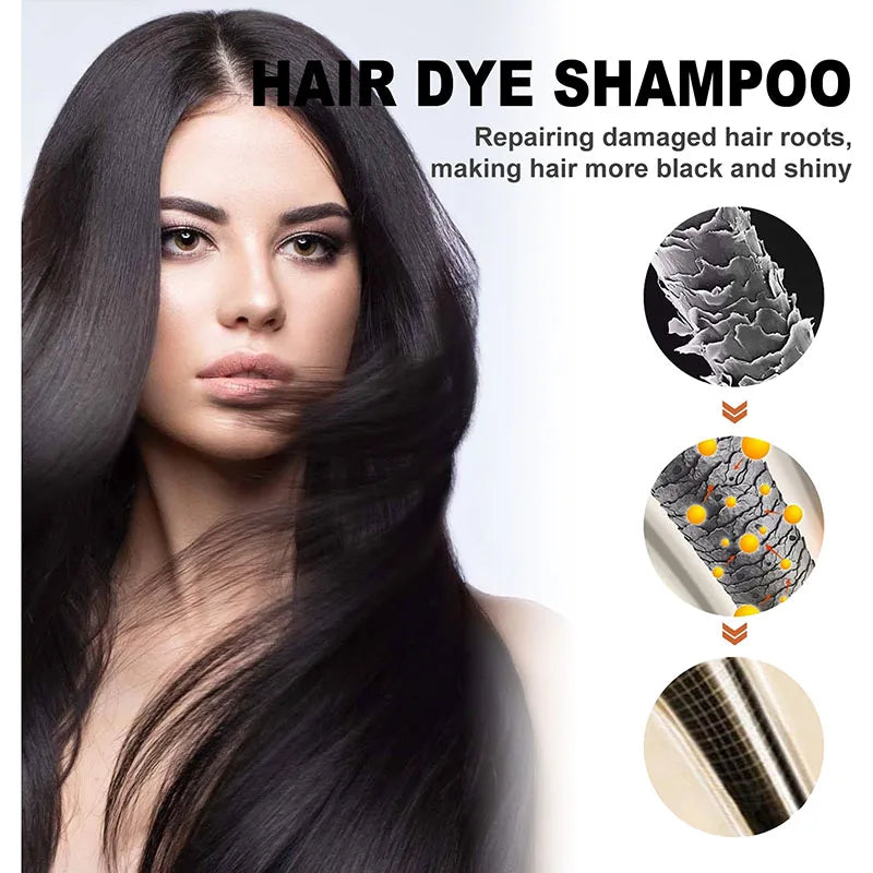 3 in 1 Black Hair Dye Shampoo for Gray Hair Coverage