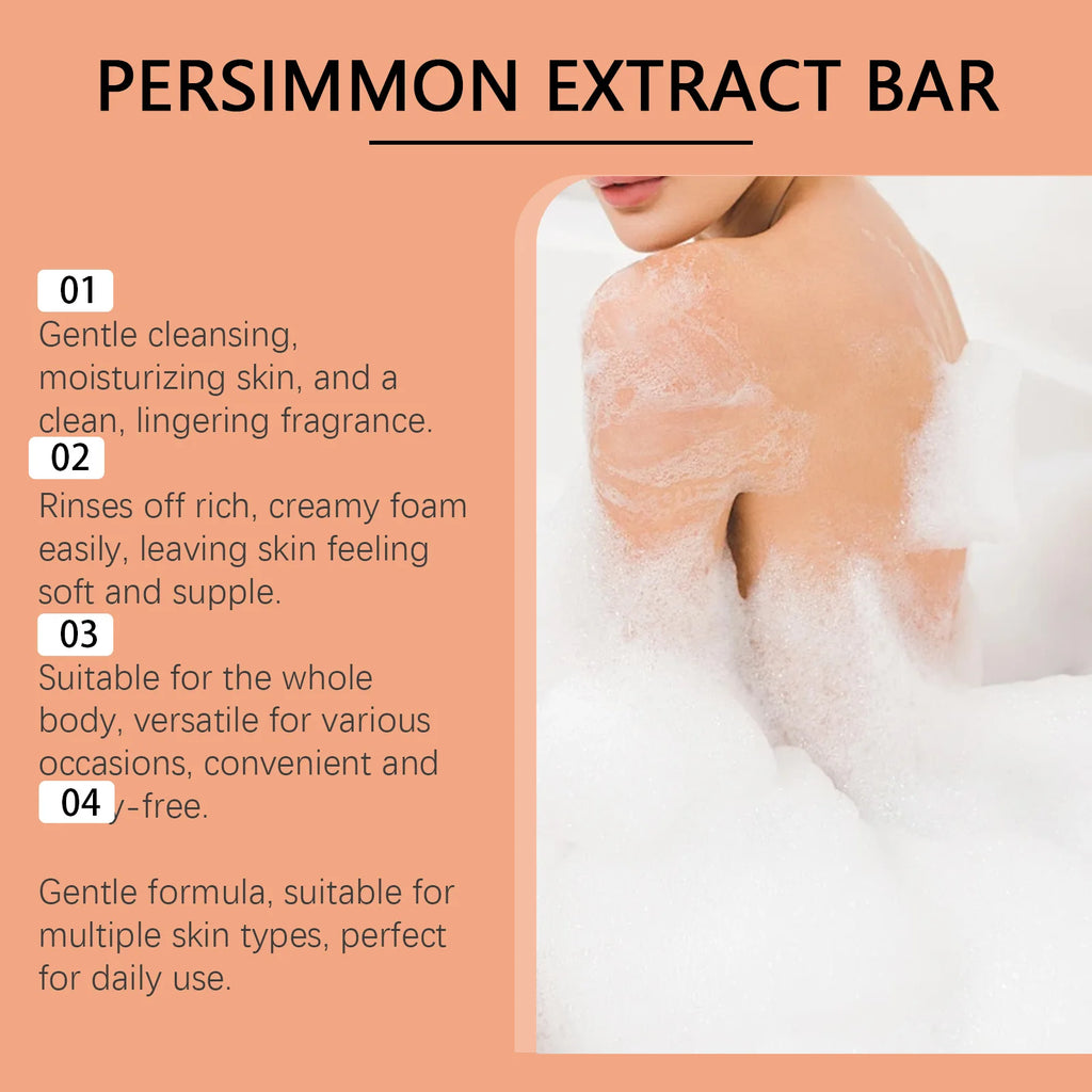 Persimmon Extract Deodorizing Body Soap for Aging Odor
