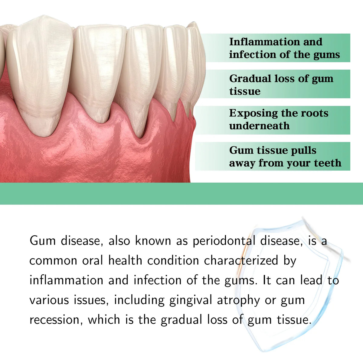 Herbal Toothache and Gum Relief Drops