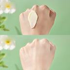 TWG Moisturizing Makeup Primer Cream for Clear Natural Finish
