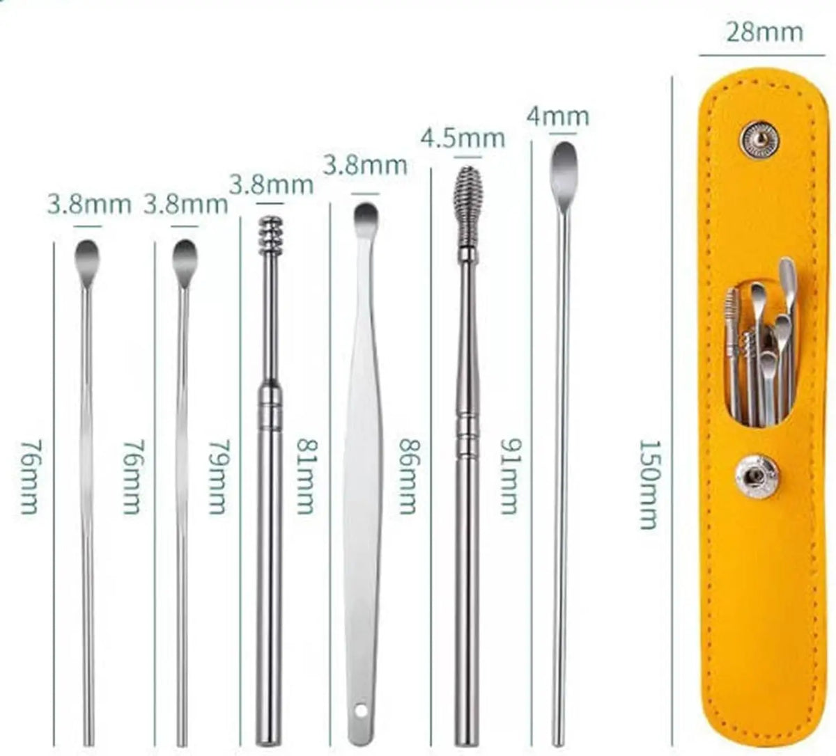 Stainless Steel Ear Wax Removal Tool Kit with Travel Case