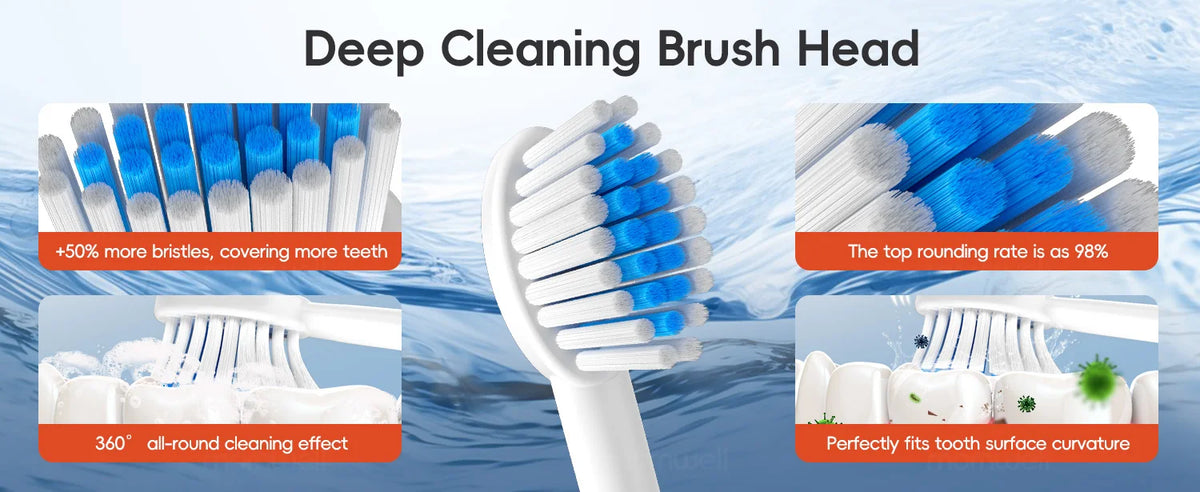 Rechargeable Sonic Electric Toothbrush with 6 Cleaning Modes