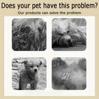 3-in-1 Pet Shampoo Conditioner and Body Wash for Dogs and Cats
