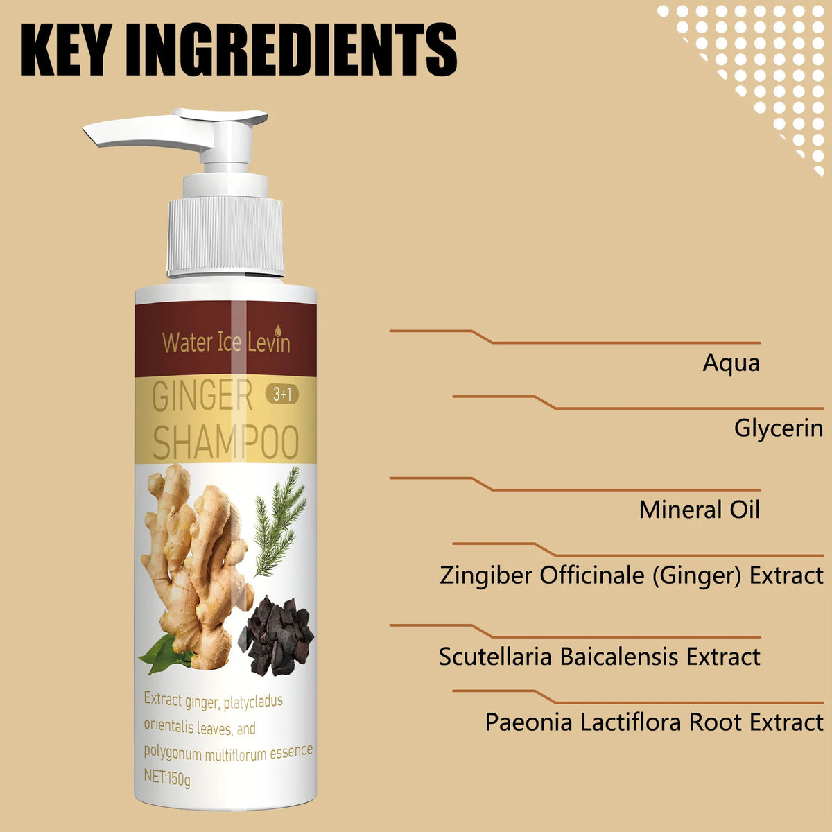 Ginger Hair Growth Shampoo Anti Hair Loss and Scalp Repair Treatment