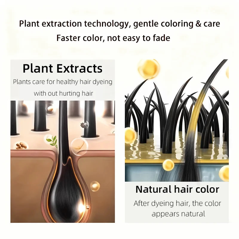4-in-1 Obsidian Black Hair Dye Shampoo 100ml
