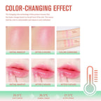 Tinted Moisturizing Blush Stick for Cheeks and Lips