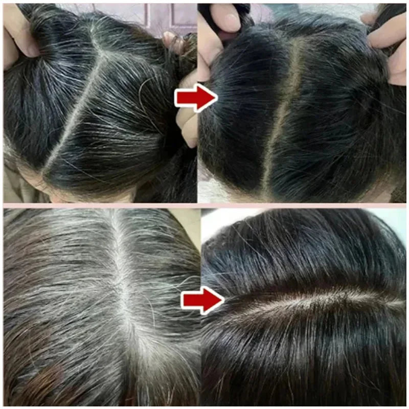 3 in 1 Black Hair Dye Shampoo for Gray Hair Coverage