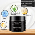 Water Ice Levin Retinol Face Moisturizing Cream Anti Aging Skin Care