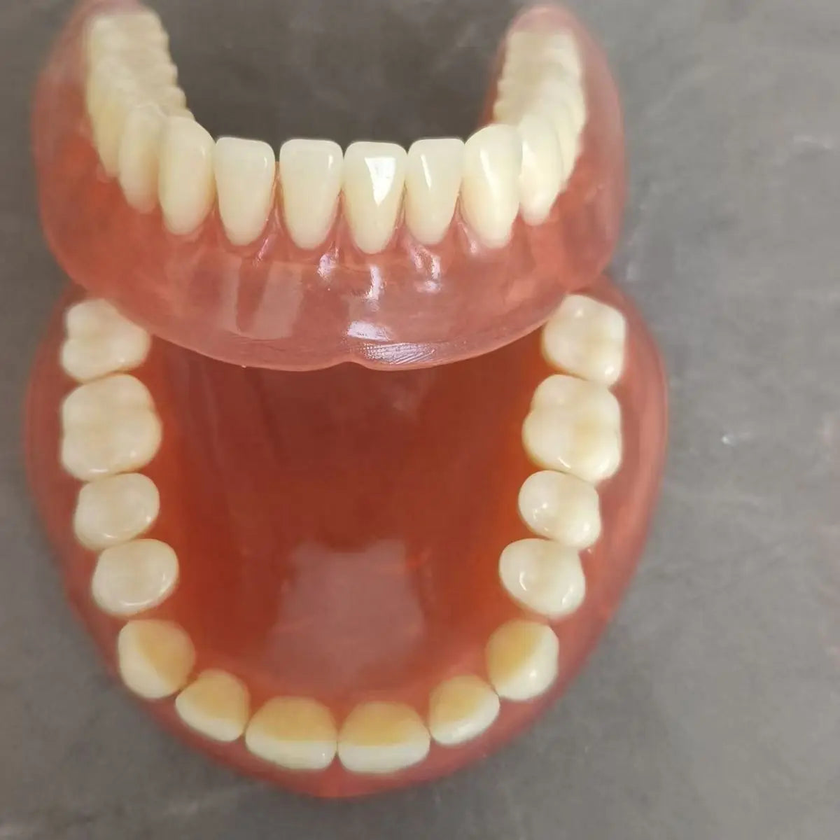 Complete Denture Care Kit with Travel Storage Case