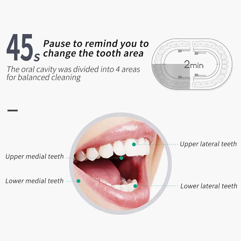 Automatic UShape Electric Toothbrush with LED Whitening Light