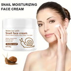 Snail Anti Aging Face Cream Collagen Moisturizer Firming Skin Repair