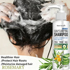Sulfate Free Scalp Clarifying Shampoo with Tea Tree and Arnica 150g