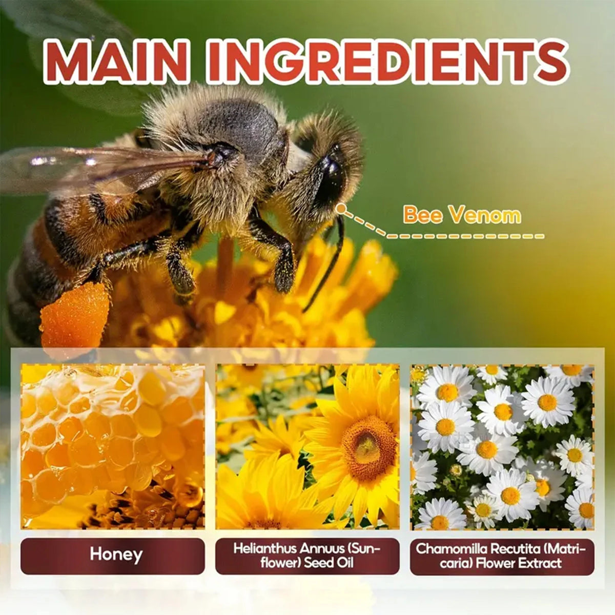 Water Ice Levin Muscle Firming Bee Venom Body Cream 60g