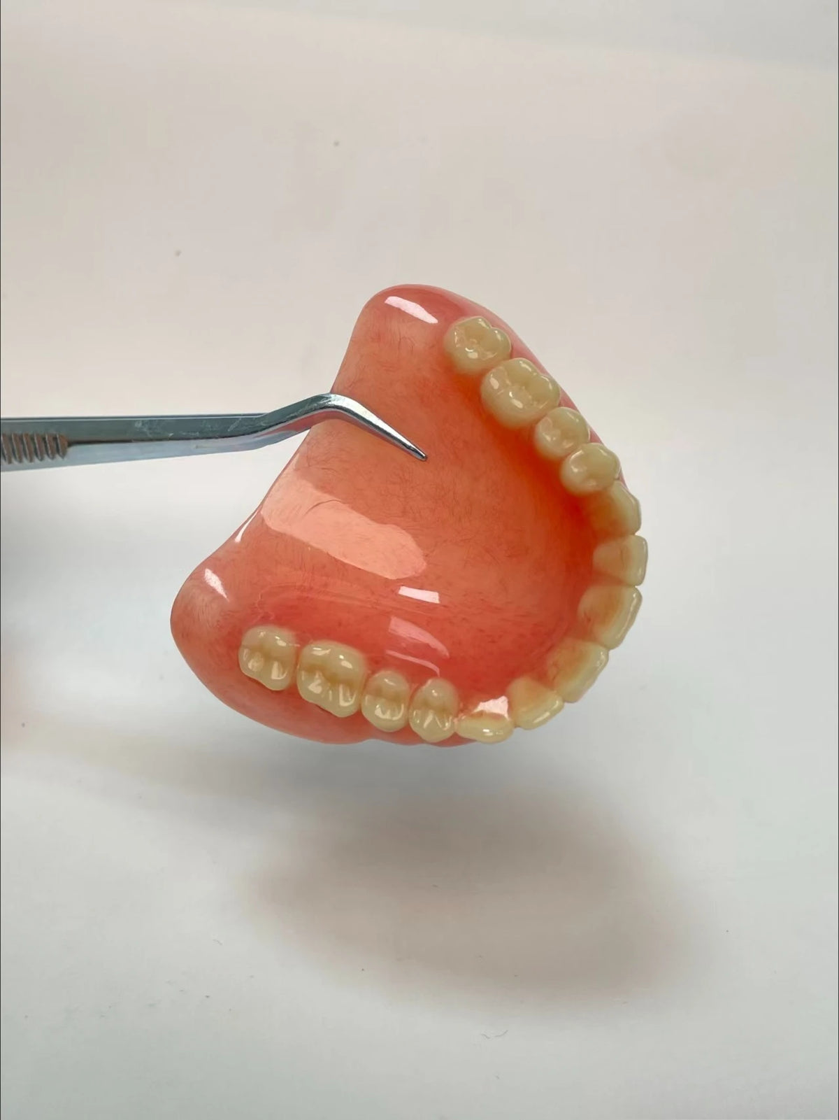 Temporary Cosmetic Denture Set for Instant Smile