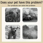 5-in-1 Pet Shampoo and Conditioner for Dogs and Cats Natural Wash