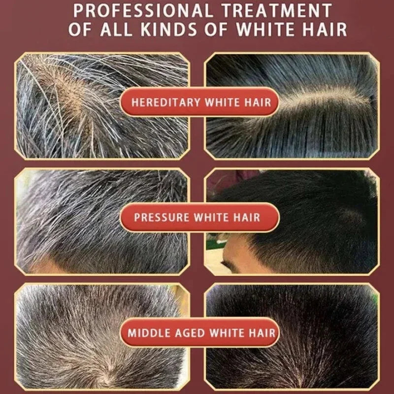 Natural Plant Herbal Extract Hair Dye Shampoo for Gray Hair Coverage