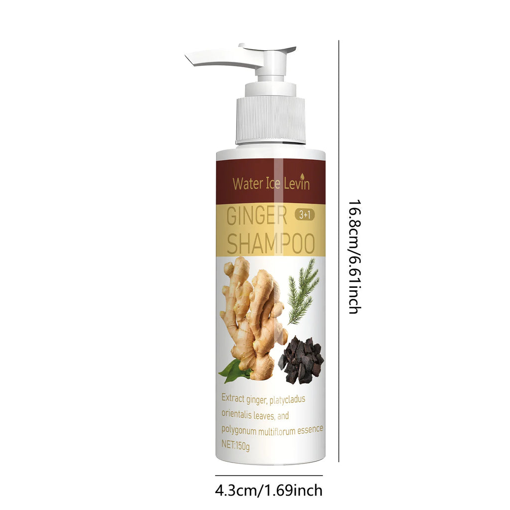 Ginger Hair Growth Shampoo Anti Hair Loss and Scalp Repair Treatment