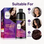 400ml 3 in 1 Hair Color Dye Shampoo for Gray Coverage