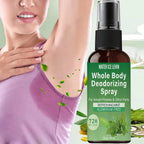 Water Ice Levin Whole Body Deodorizing Spray Aluminum Free Mint Fresh
