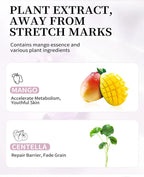 Mango Stretch Mark Cream and Repair Oil for Maternity Skin Care