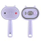Electric Mist Spray Massage Comb for Scalp and Hair Care