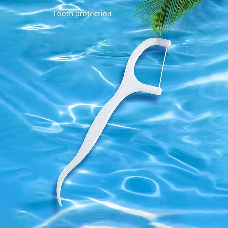 Portable Dental Floss Picks with Travel Case
