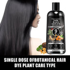Water Ice Levin 9-in-1 Black Hair Dye Shampoo 100g