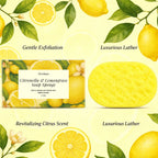 Exfoliating Bath Sponge for Daily Body Cleansing and Skin Refreshing