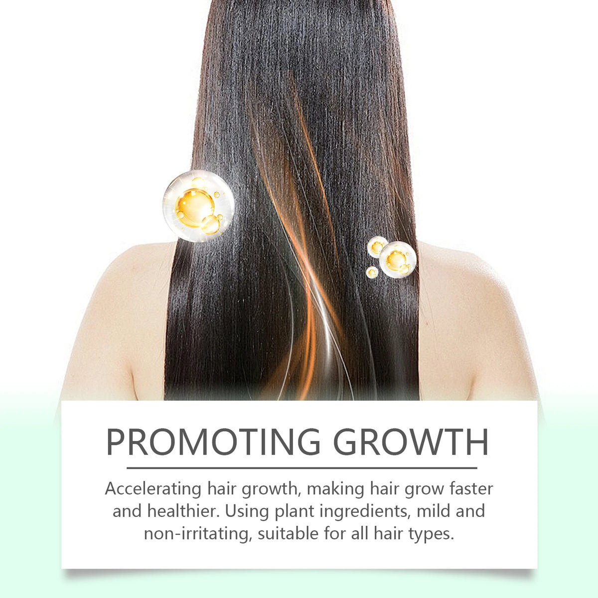 Rosemary Hair Growth Oil for Scalp and Thinning Hair