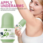 Water Ice Levin Natural Deodorant Stick Aluminum Free 72H Protection