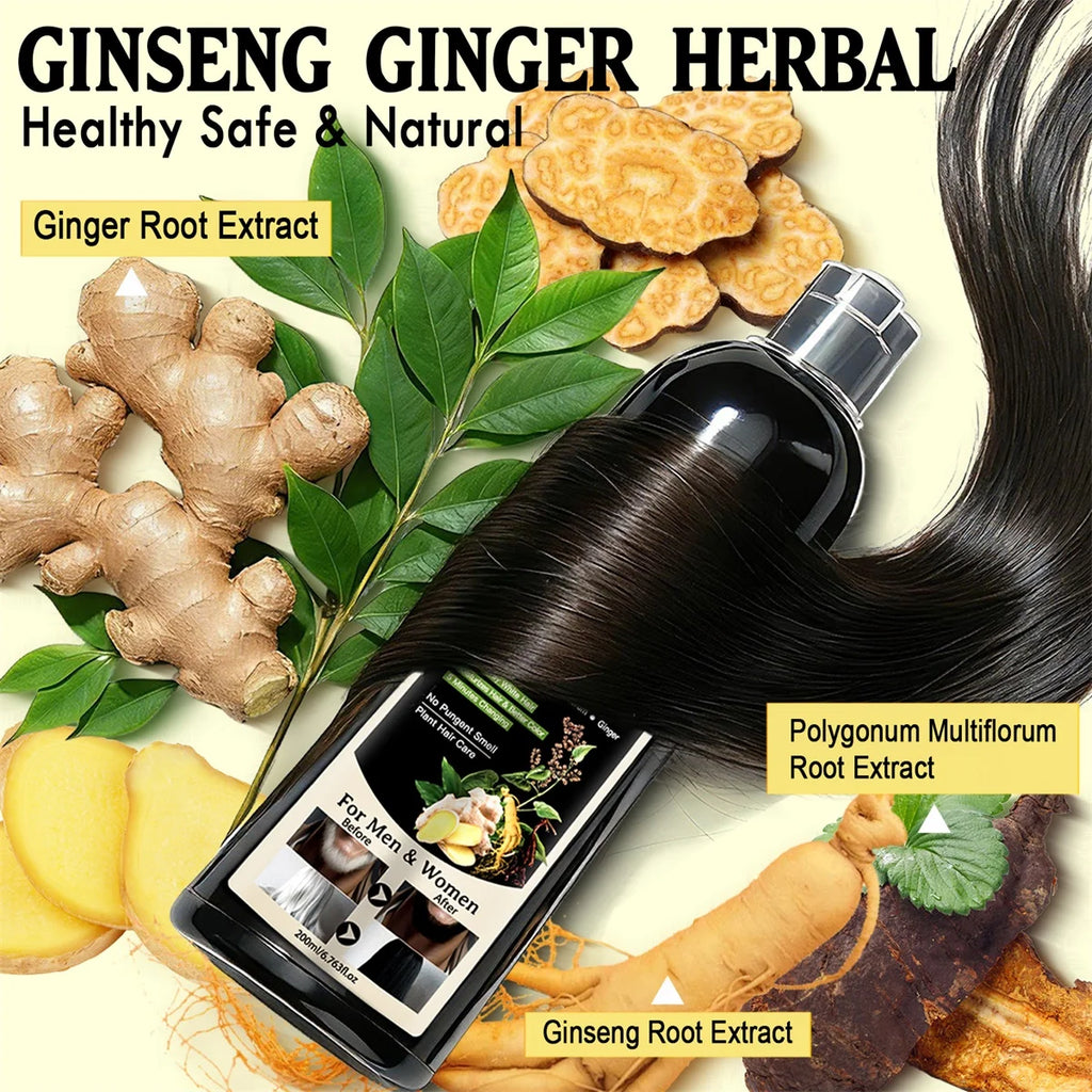 3 in 1 Black Hair Dye Shampoo and Soap for Gray Hair Coverage
