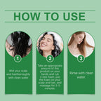 Rosemary Amino Acid Hair Shampoo 100ml Oil Control and Scalp Cleansing