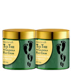 Tea Tree and Calendula Foot Cream Moisturizing Heel Repair Treatment